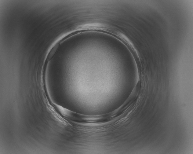 X0000083971336200702161053