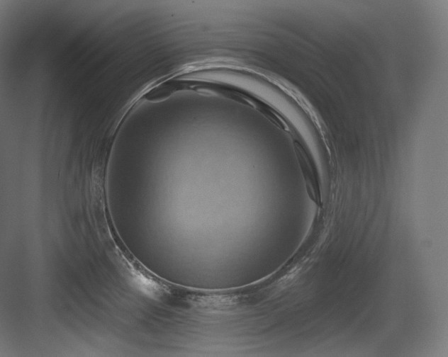 X0000083971337200702161053