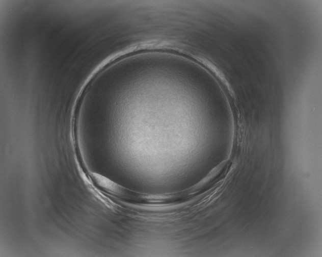 X0000083971342200702161054