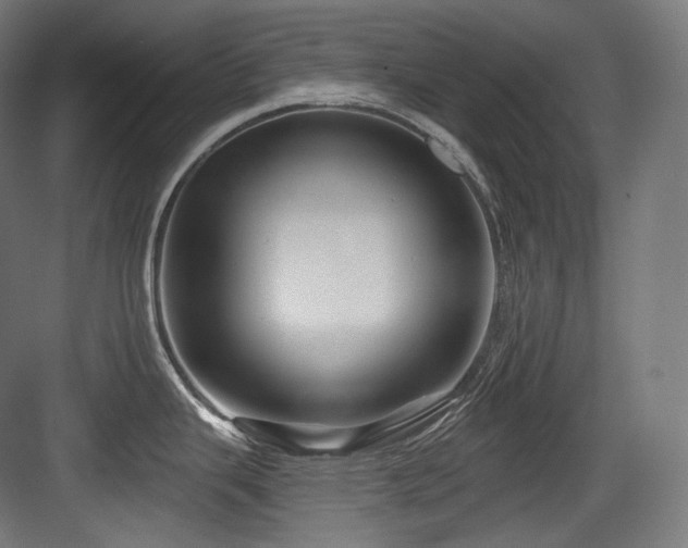 X0000083971343200702161054