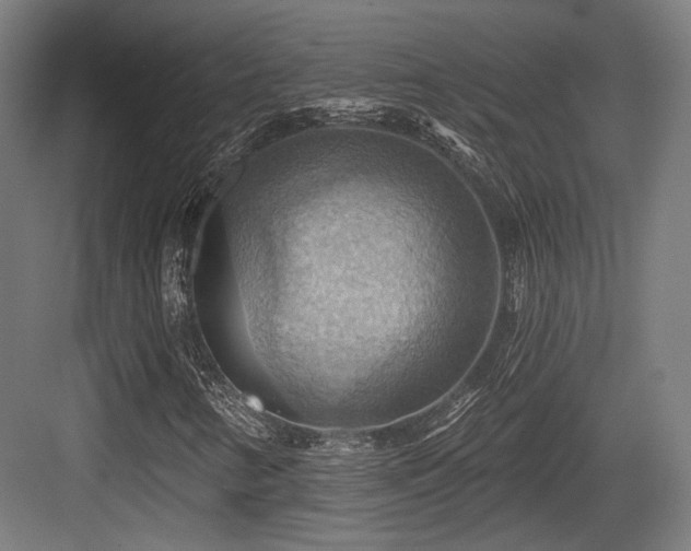 X0000083971346200702161053