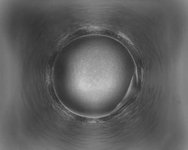 X0000083971348200702161053