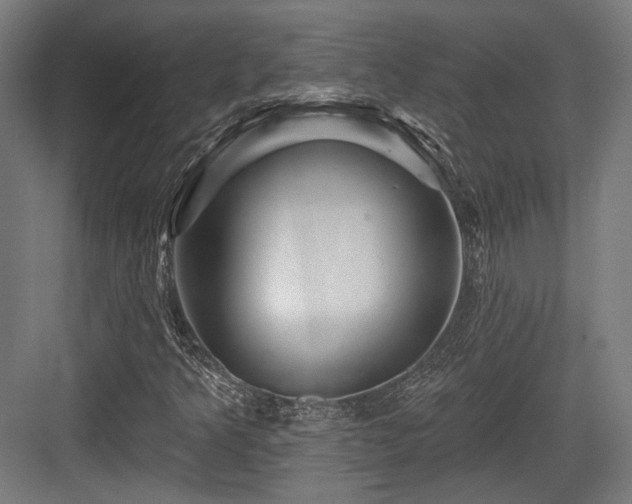 X0000083971349200702161053