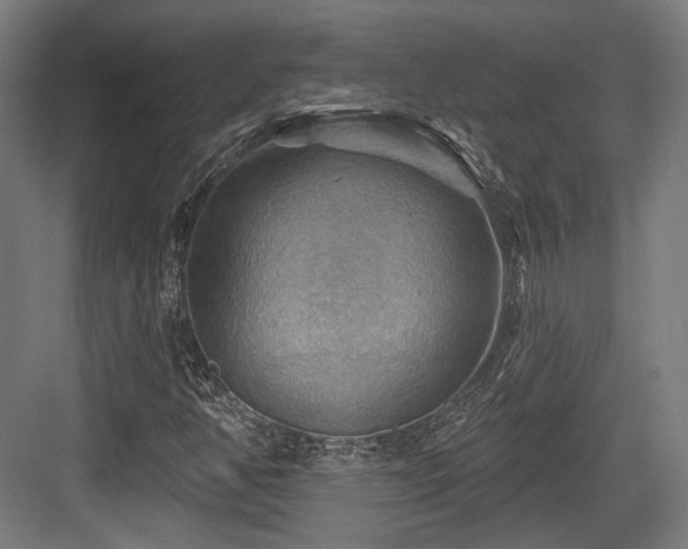 X0000083971350200702161053