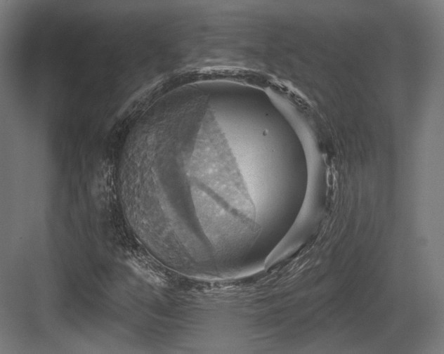X0000083971351200702161053
