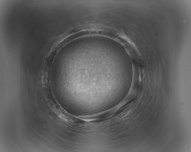 X0000083971352200702161053