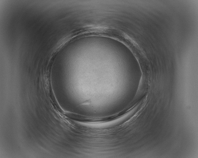X0000083971354200702161053