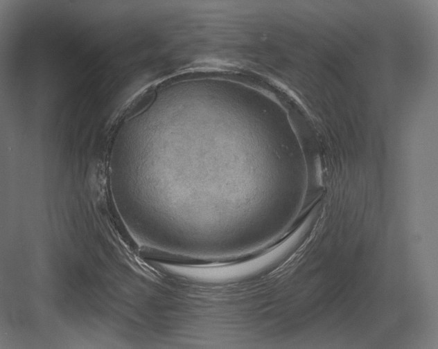 X0000083971355200702161053