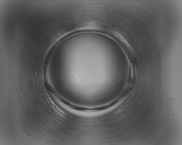 X0000083971356200702161053