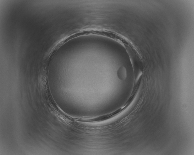 X0000083971359200702161053