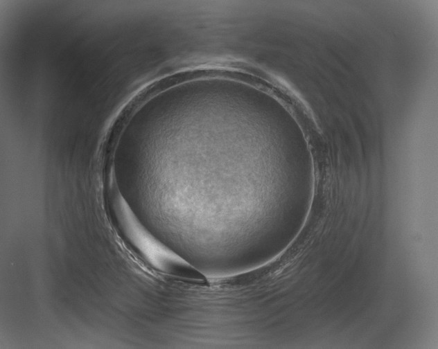 X0000083971360200702161053