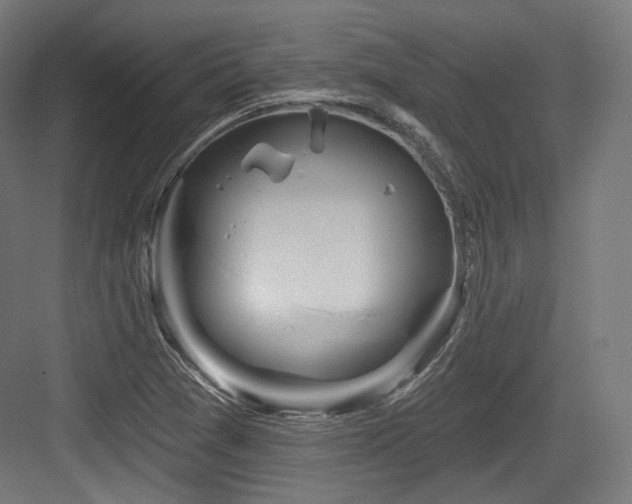 X0000083971361200702161052