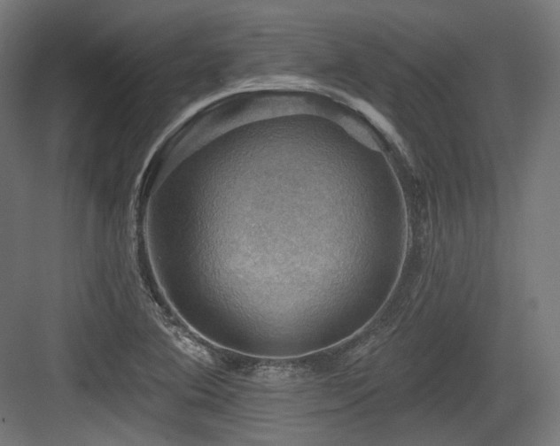 X0000083971364200702161052