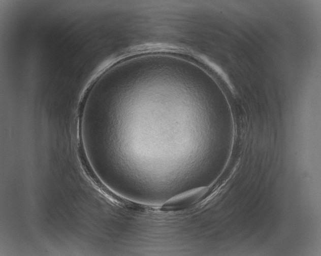 X0000083971365200702161052