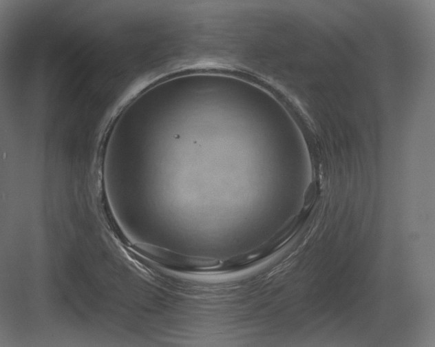 X0000083971367200702161052