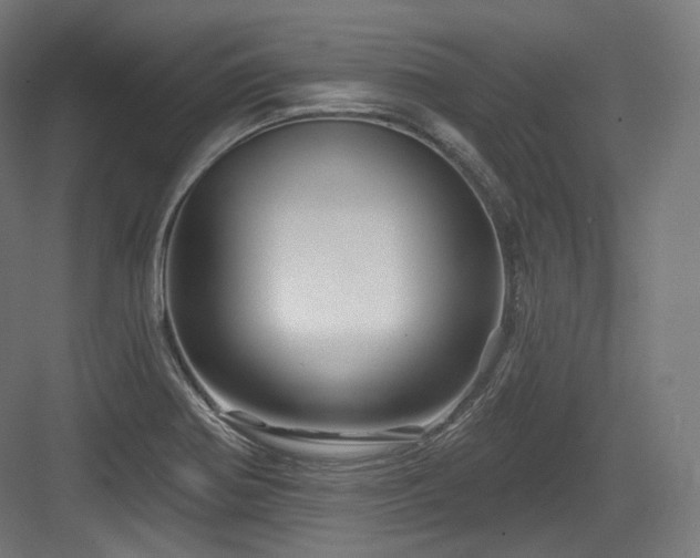 X0000083971370200702161052