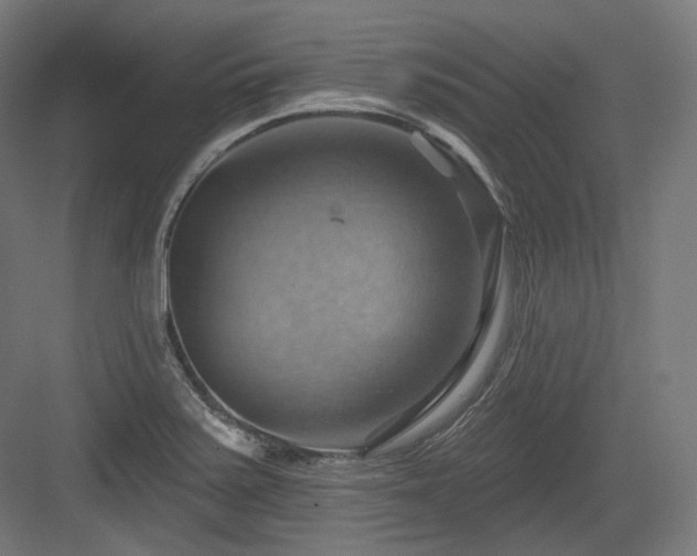 X0000083971371200702161052