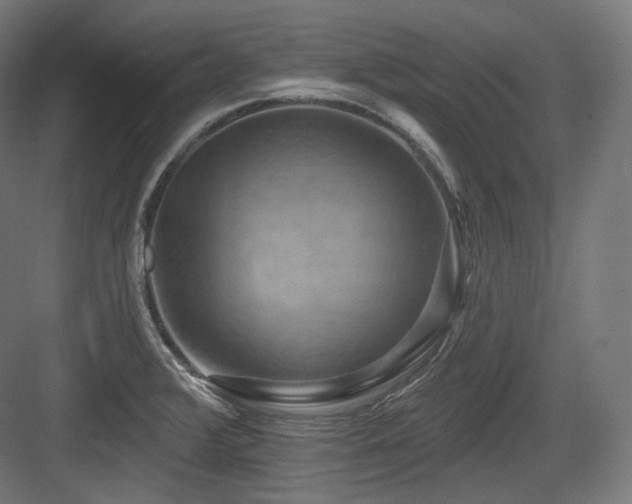X0000083971376200702161052