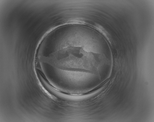 X0000083971379200702161052