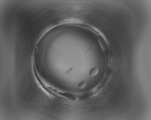 X0000083971383200702161052