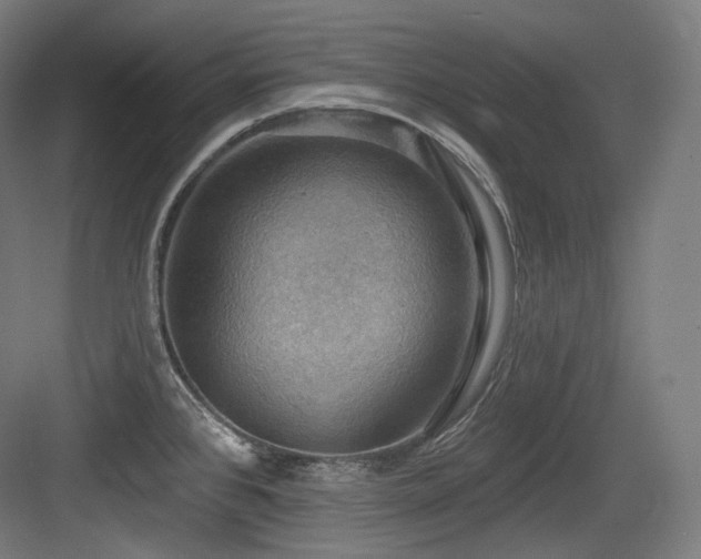 X0000083971384200702161052