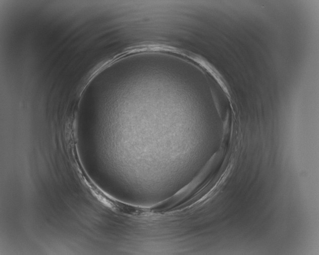 X0000083971385200702161052