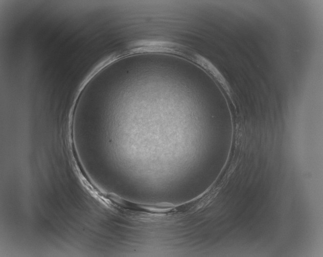 X0000083971386200702161052