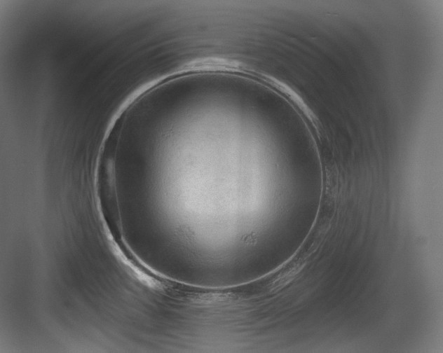 X0000083971387200702161052