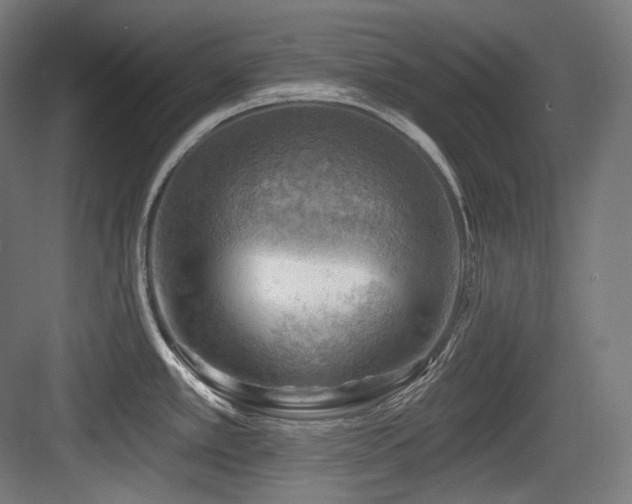 X0000083971389200702161052