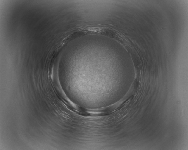 X0000083971394200702161051