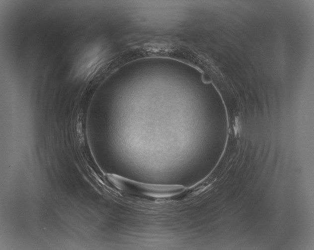 X0000083971396200702161051