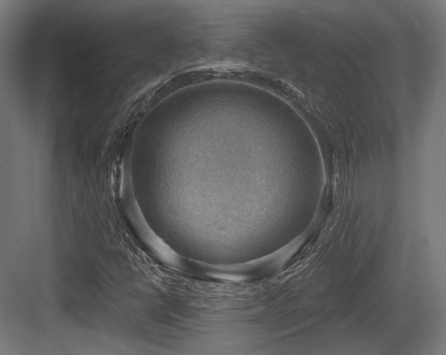 X0000083971398200702161051