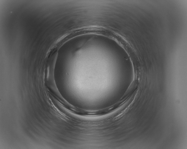 X0000083971402200702161051