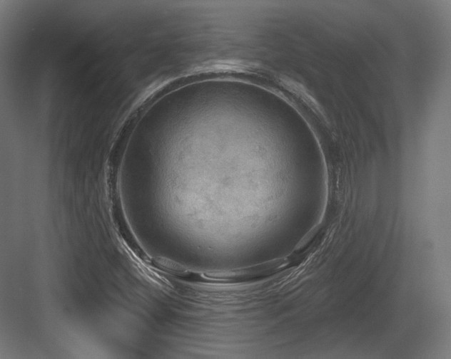 X0000083971404200702161051
