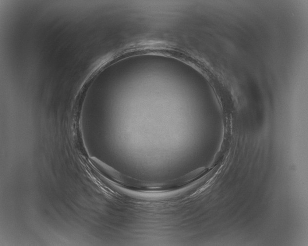 X0000083971405200702161051