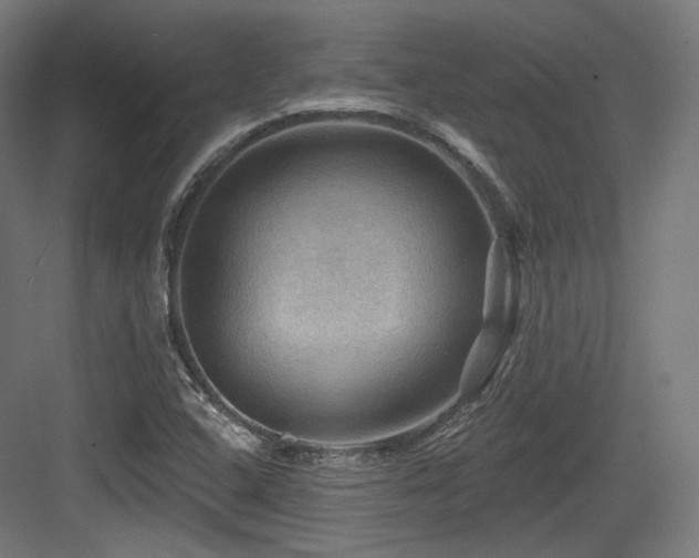 X0000083971408200702161051