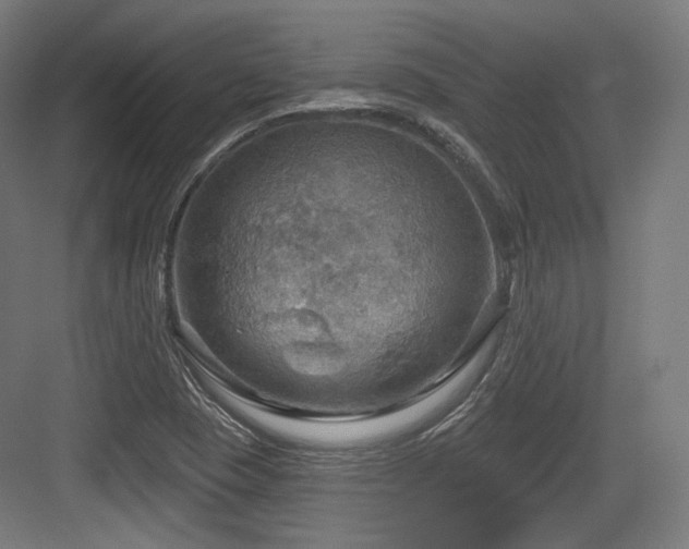 X0000083971409200702161051