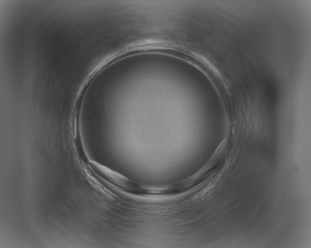 X0000083971413200702161052