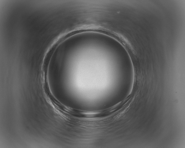 X0000083971414200702161052