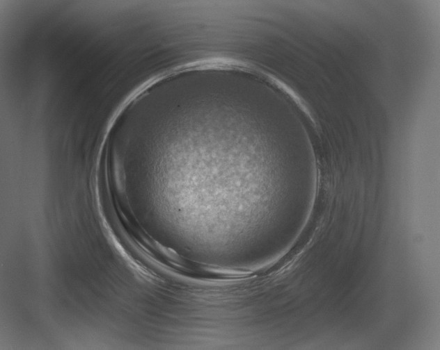 X0000083971418200702161052