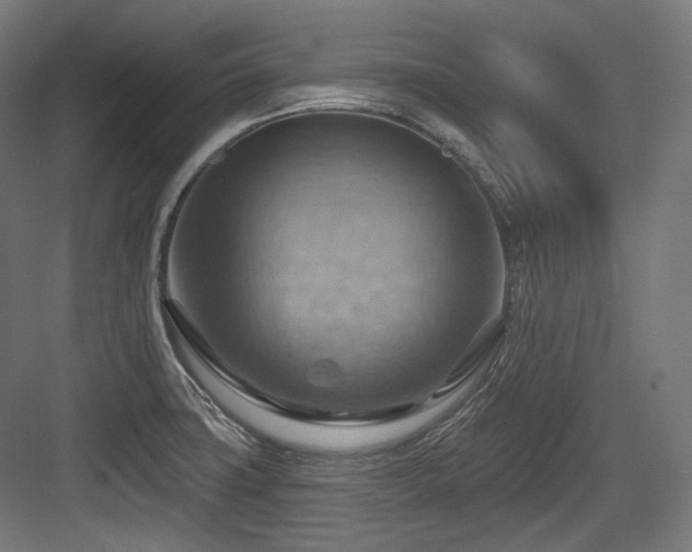X0000083971427200702161052