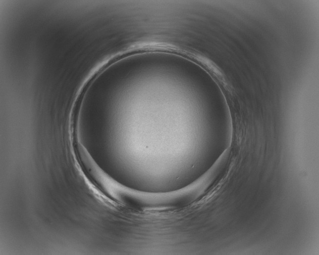 X0000083971430200702161052