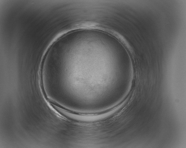 X0000083971432200702161052