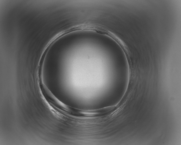 X0000083971434200702161052