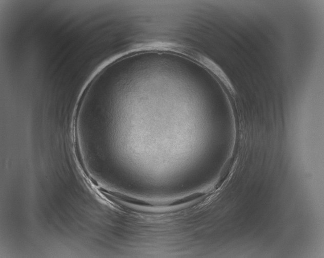 X0000083971436200702161052
