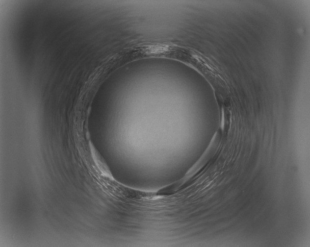 X0000083971441200702161051