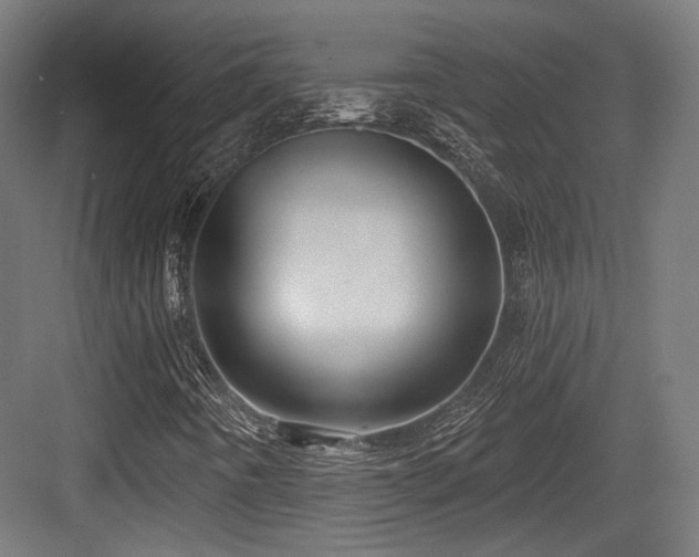 X0000083971442200702161051