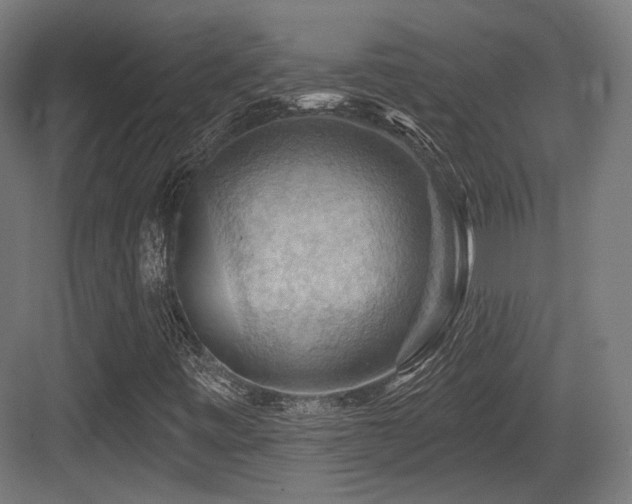 X0000083971443200702161051