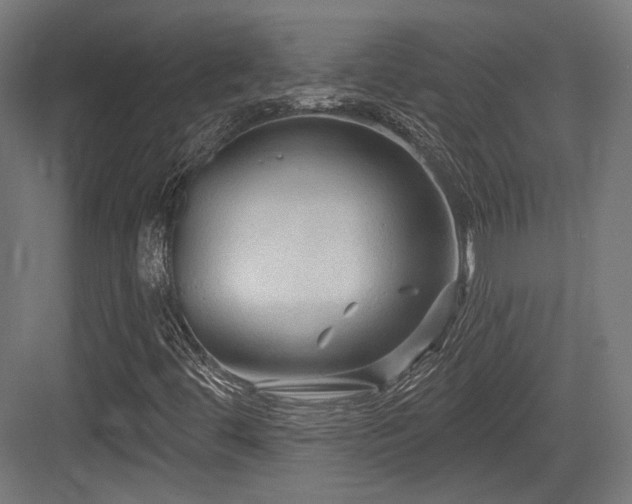 X0000083971444200702161051