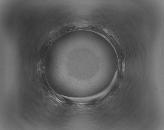 X0000083971445200702161051